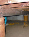 Mold and rot thriving in a dirt floor crawl space in Boise