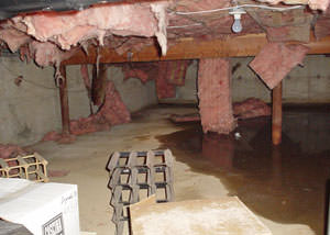 fiberglass insulation dripping off the ceiling of a crawl space in Rexburg.