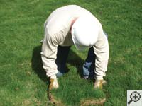 Restoring the landscaping by replacing removed sod on the ground for a Post Falls home.