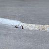 Slab floor cracks showing in a Rigby home