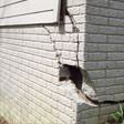 foundation walls cracked due to settlement in Boise