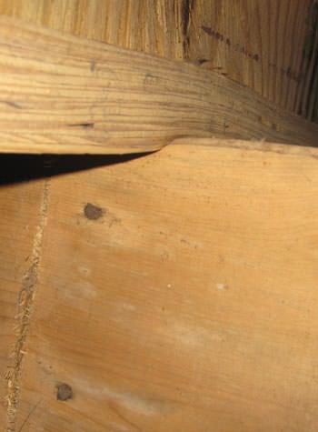 severe damage to a crawl space structure in a Rexburg home