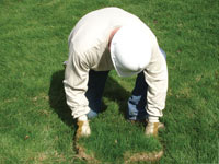 Restoring the landscaping by replacing removed lawn sections for a Coeur D Alene home.