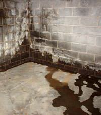 Water seeping through a concrete wall in a Emmett basement