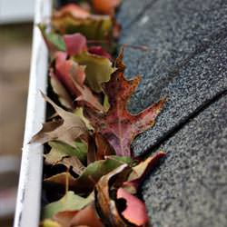 Clogged gutters filled with fall leaves  in Mountain Home