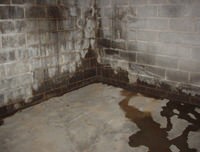 flooded basement with leaky basement walls in Buhl, ID