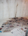 Leaky basement wall crack repair in ID