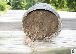 clogged french drain found in , Idaho