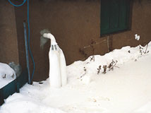 IceGuard® Installed Nampa