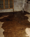 Wet basement repair in Idaho Falls & nearby